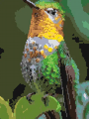 Hummingbird cross stitch pattern, stitched preview