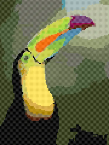 Toucan cross stitch pattern